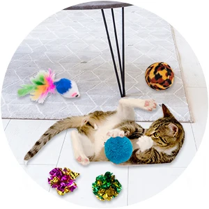 20 Pcs Cat Toy Kit Collapsible Tunnel Indoor Kitten Interactive Teaser Wand Mice Ball Pet Fun Channel Crinkle Ball Cat Supplies