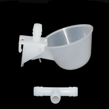 

2 Sets Pigeon Drinker Special Chicken Autodrinker Chickens Drinking Fountains Drinking Bowl To Chicken Quail Poultry supplies