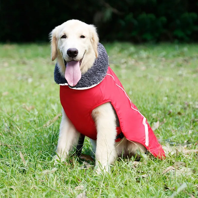 Pet Теплая одежда однотонный цветные, отражающие Водонепроницаемый куртка с поводковое кольцо