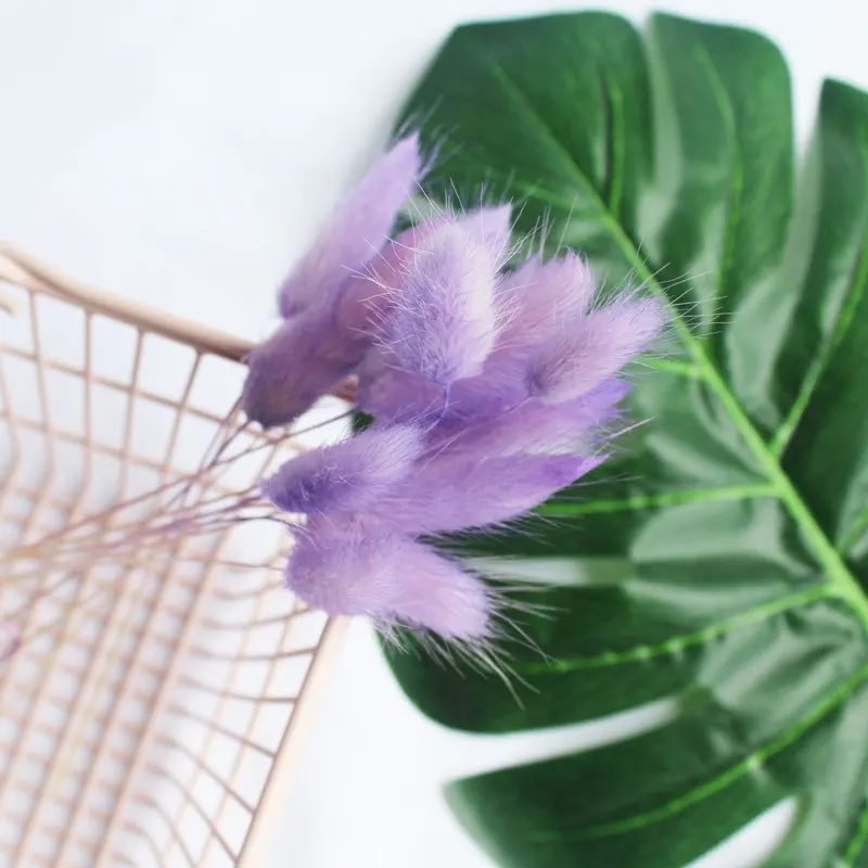 10 шт./лот фиолетовые сушеные цветы декоративные колья флюгер садовое украшение миниатюрное растение горшки фея DIY
