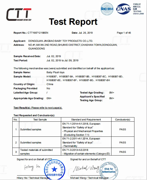 test report