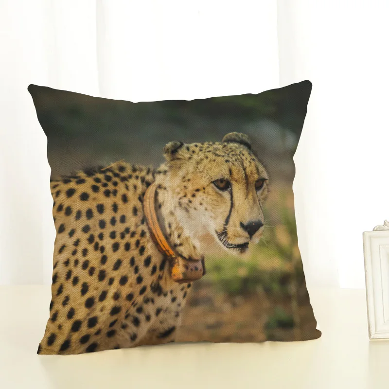 8823469609_1255064235