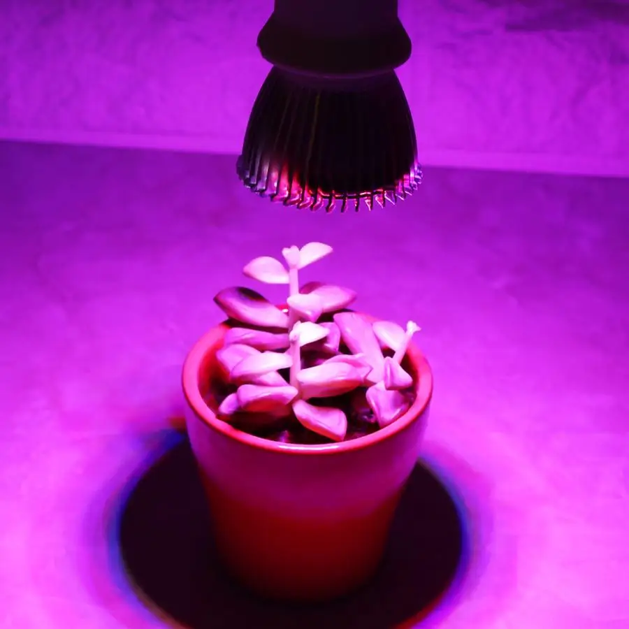 

LED E27 Hydroponic LED Growth Light Bulb 220V UV Lamp Plant Flower Seedling For Home DIY Greenhouse Garden