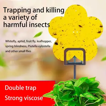 

15Pcs Double Sided Indoor Fruit Fly Traps Sticky Adhesive Board Insect Catcher Fruit Fly Whitefly Anti Insect