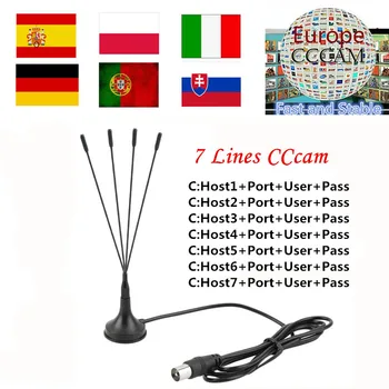 

Europe Cccam 7lines server 1 Year for Spain Portugal Germany Hungary Italy cccam server For DVB-S2 Receptor Satelite TV Receive