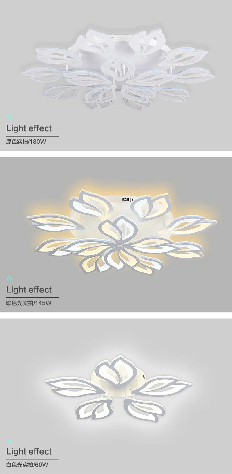 1 (6)                     11