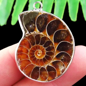 

Gorgeous Intriguing Fashion 1Pcs Carved Wrapped The snail fossils Pendant Bead 37x28x13mm SH6495