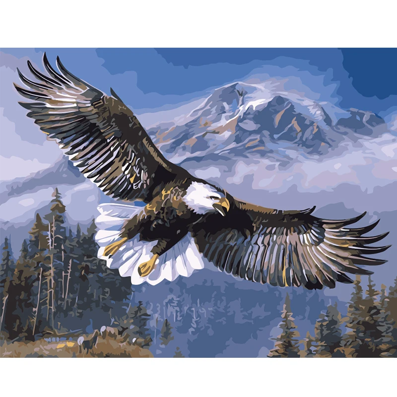 

Owl magpie animal pictures digital painting by numbers new paint by numbers for adults kids living room decoration with frame