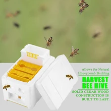 Мед пчелиный улей Авто улей рамки комплект для пчеловода Pollination Box оборудования 1 шт