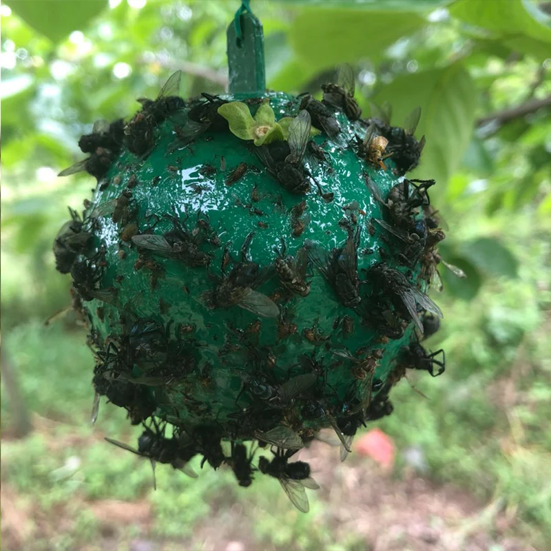 O1CN01b124UE1pNQhJwIXqr_!!2419115348