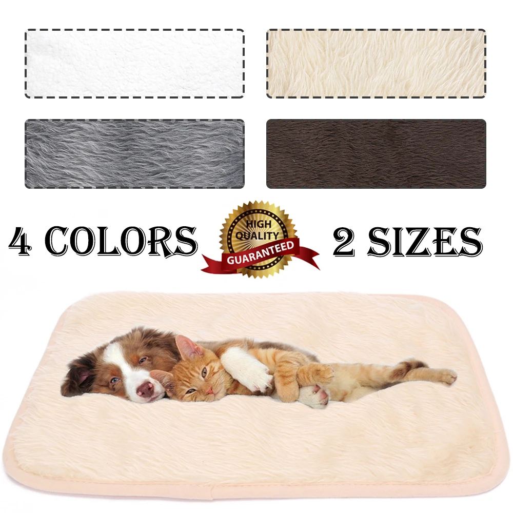 off the floor dog beds for large dogs