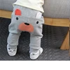 Gray Bear