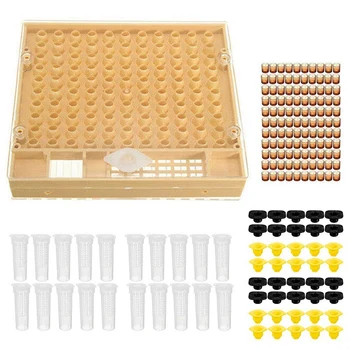 

New-Cultivating Box Non-Toxic Garden Large Equipment Set Beekeeping Tools Plastic Durable Catcher Cage Bee Cell Cups Queen Reari