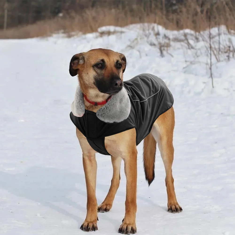 Köpek Yağmurluk