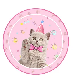 1Set Pet Cats Birthday Paper Cup Plate Napkin Party Bunting Cat Kids Happy Birthday Banner Party Baby Shower Decoration Supplies 