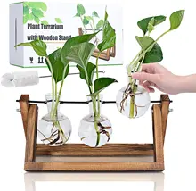 

Hydroponic Glass Vase Plant Propagation Table With Wooden Stand Desktop Home Garden Office Decor Valentine's Gift Accessories