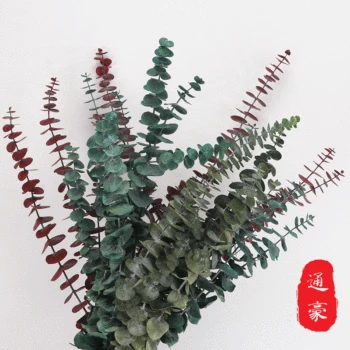 

you calli ye Dried Leaves Copper Leaf Eternal Life Bouquet Decor Dried Eucalyptus