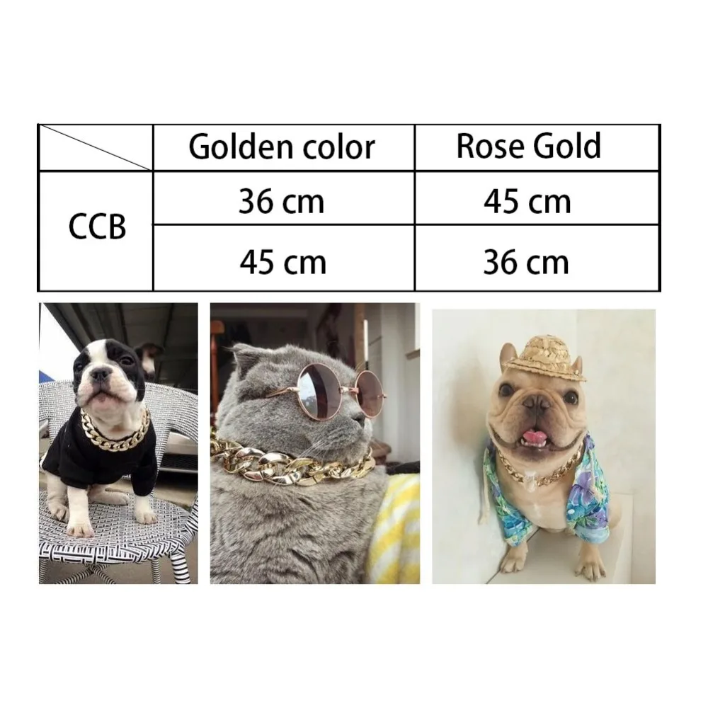 307643_no-logo_307643-3-01-g