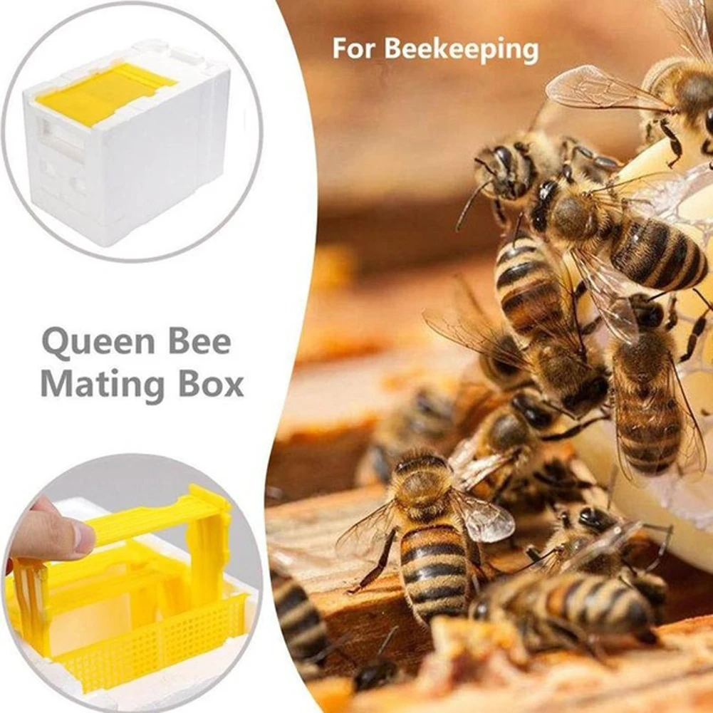 Bee Hive Beekeeping King Box Pollination Box Foam Frames Beekeeping Tool Kit for Farm Garden Beeworking Pollination