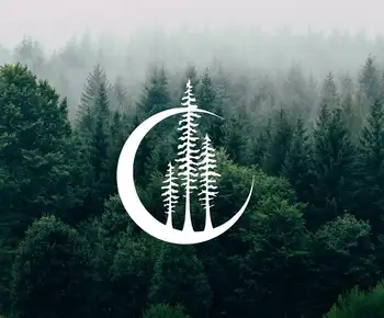 

Car Door The Moon And Tree Car Sticker Car Stickers Auto Vinyl Car Sticker Car Accessories