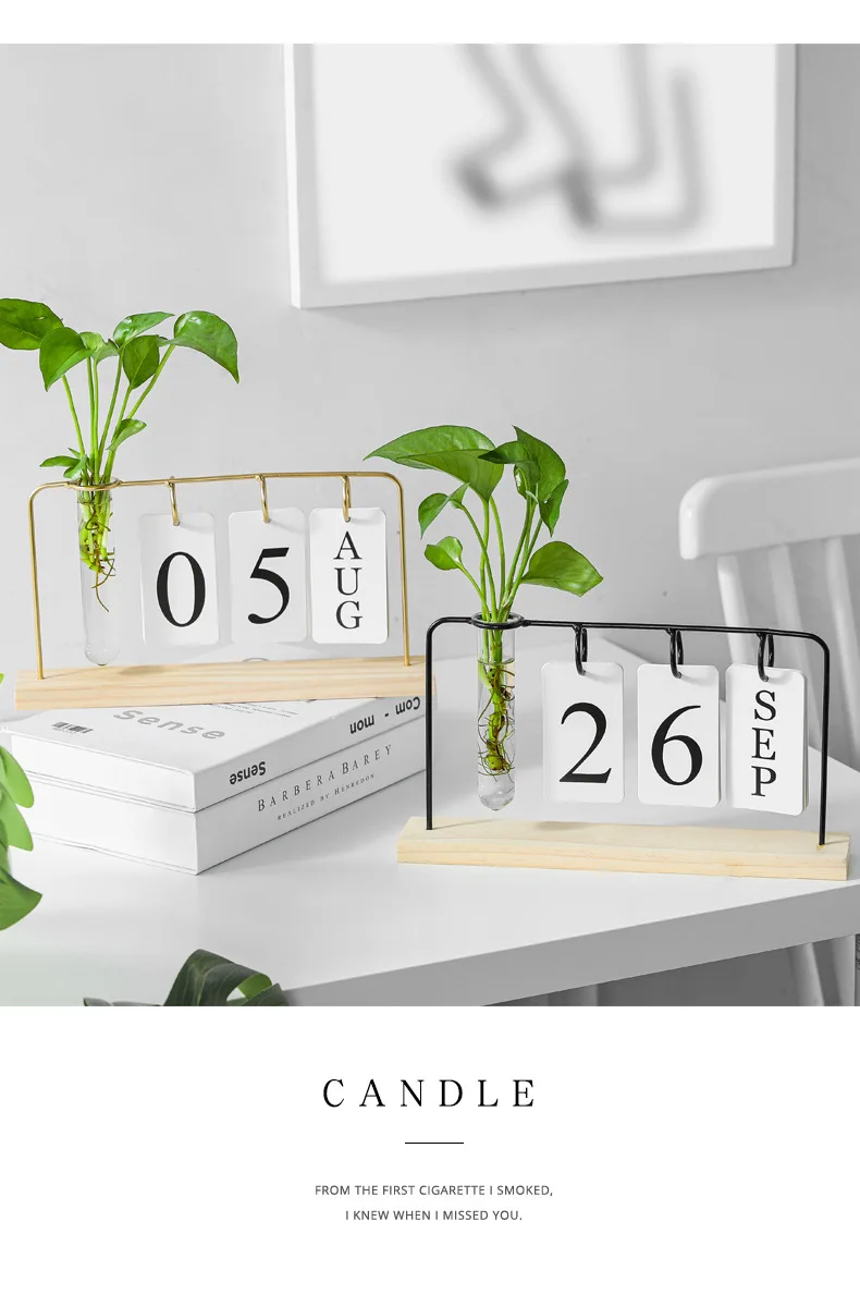 2021 heißer Kalender Glas Hydrokultur Vase Dekoration Kreative Multi-zweck Wohnzimmer Büro Schlafzimmer Ornamente – Detail 7