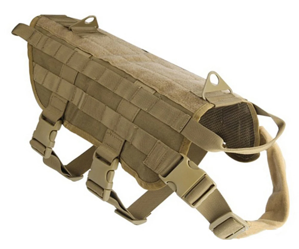 5573079836_1312717047