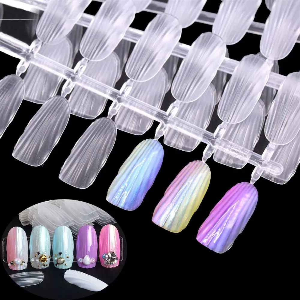 

240 PCs Sea Shell Shape Design Nail Art False Display Shelf Removable Practice Acrylic Tip Nail Gel Polish Color Board Display