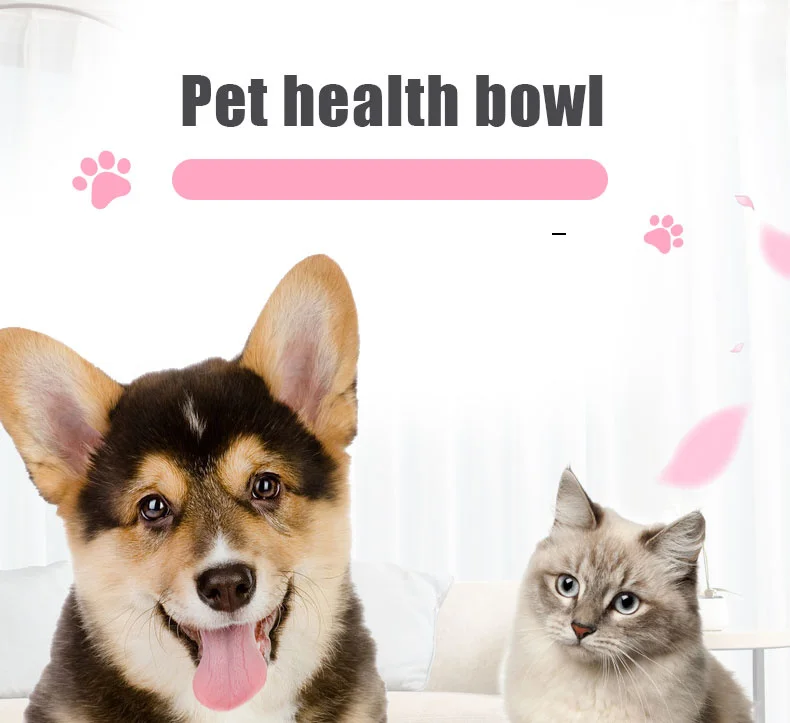 dog-bowl_01