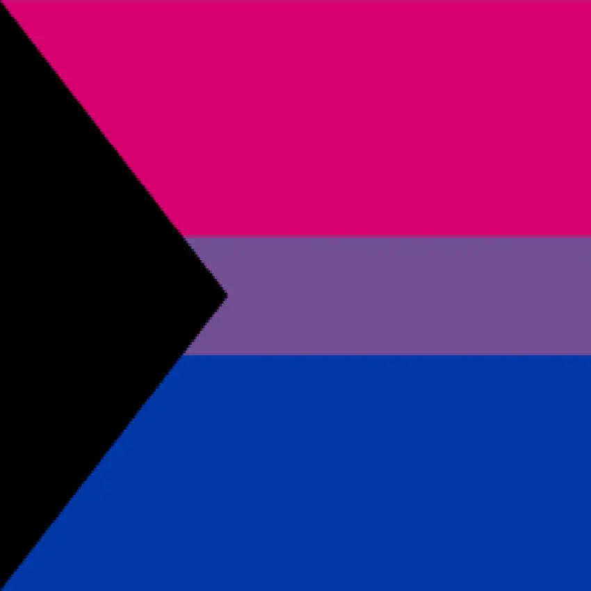 Demibisexual флаг «ПРАЙД» 150x90 см полиэстер 100D Изготовленный На Заказ Флаги и растяжки