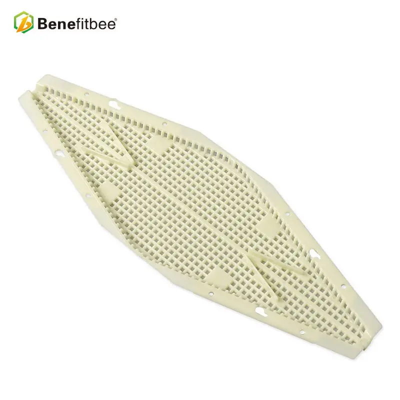 QT65-800X800-1