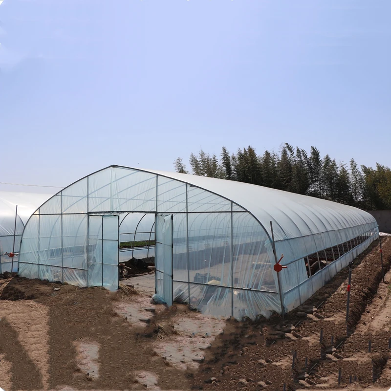Agricultural Planting Transparent Plastic-Covered Greenhouse