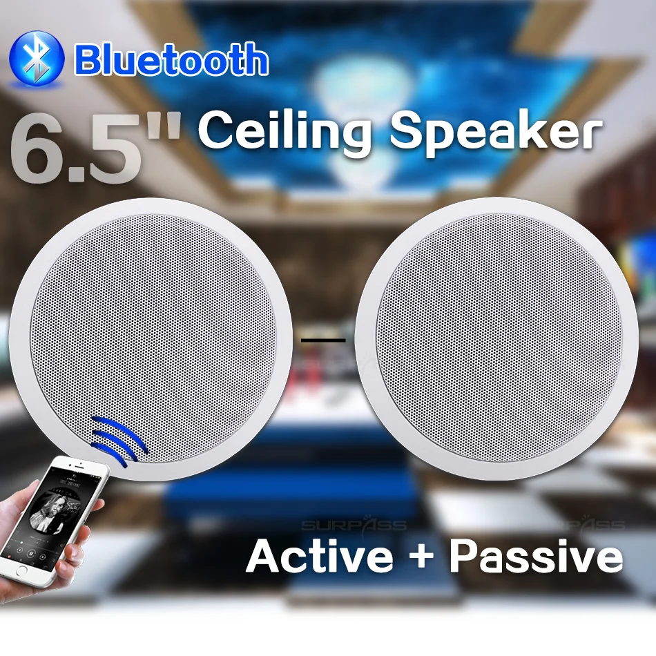 Leicozic U4D Dual Channel Wireless Microphone True