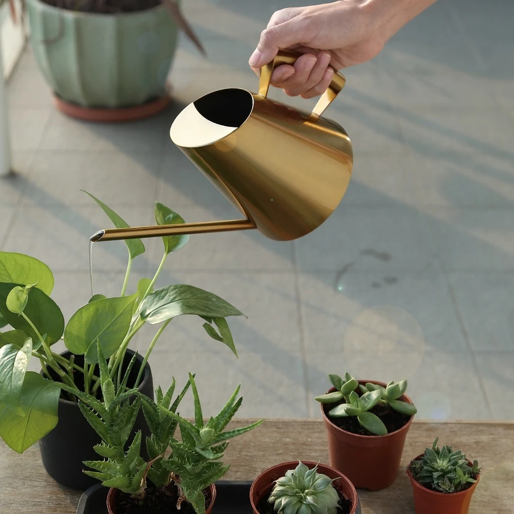 Gold Watering Can For Plant Indoor Garden House Flower Succulents Long Spout Stainless Steel Watering Pot Bonsai Tools 3 Size Water Cans Aliexpress