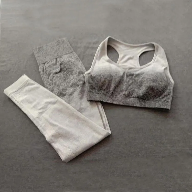 PHIKESEYA, Женский комплект для йоги, бесшовная одежда для фитнеса, спортивная одежда, женские леггинсы для спортзала, мягкий спортивный бюстгальтер, 2 шт., спортивные костюмы - Цвет: 2 pcs set gray