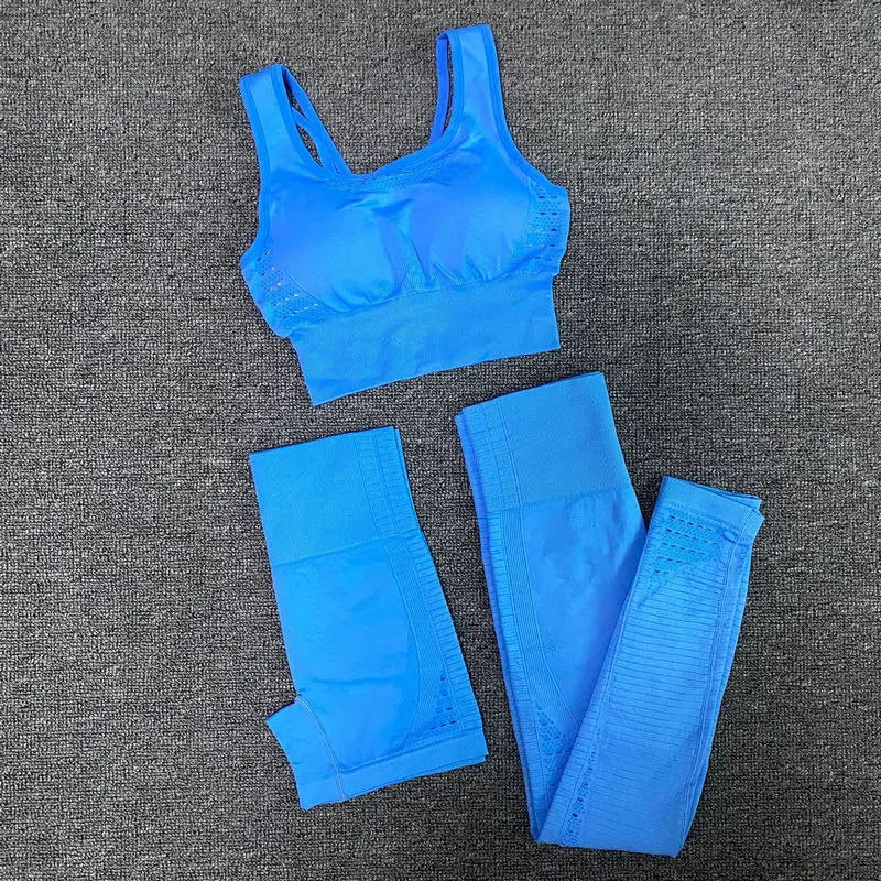 C53A88D6CA2FE11729B114BD7C5E4ED1