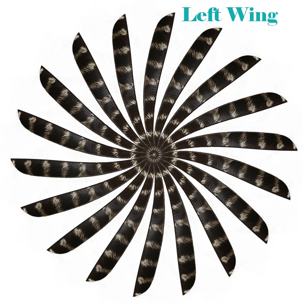 30 шт. стрелы перья 5 &quotлевый/правый щиток крыла фазан Настоящее оперение индейки