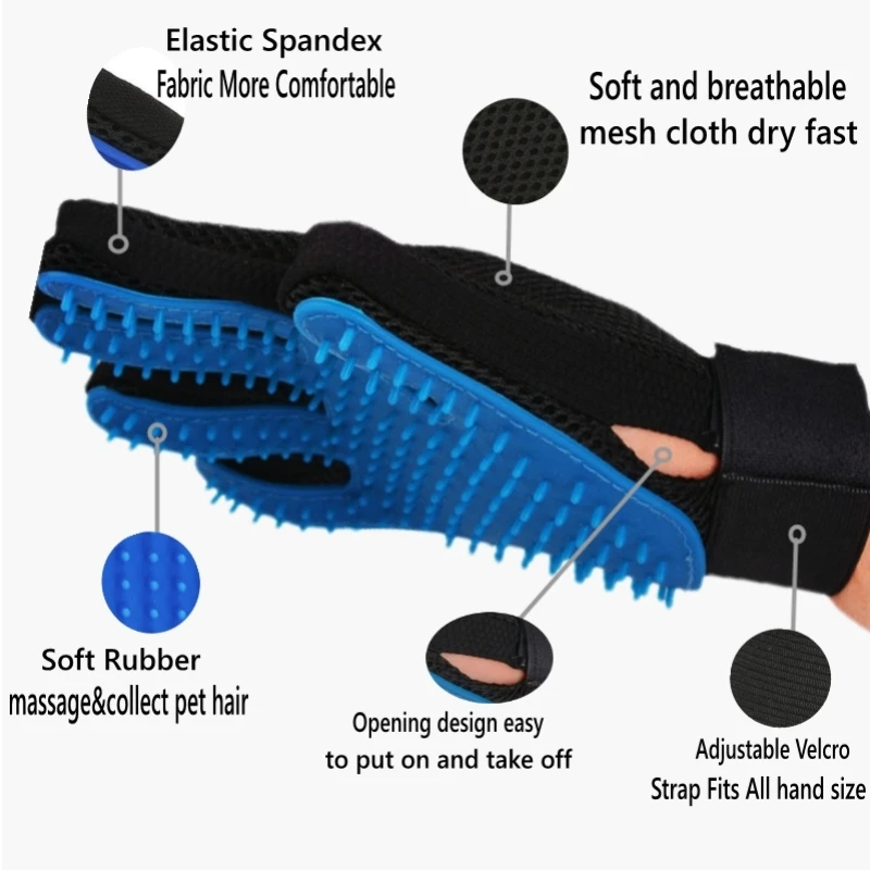 HTB1wfQeXGWs3KVjSZFxq6yWUXXa8