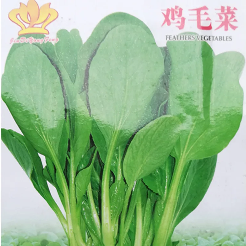 

Happy garden series of vegetable seeds small green vegetables rapeseed are about 50pcs Chinese little greens grains