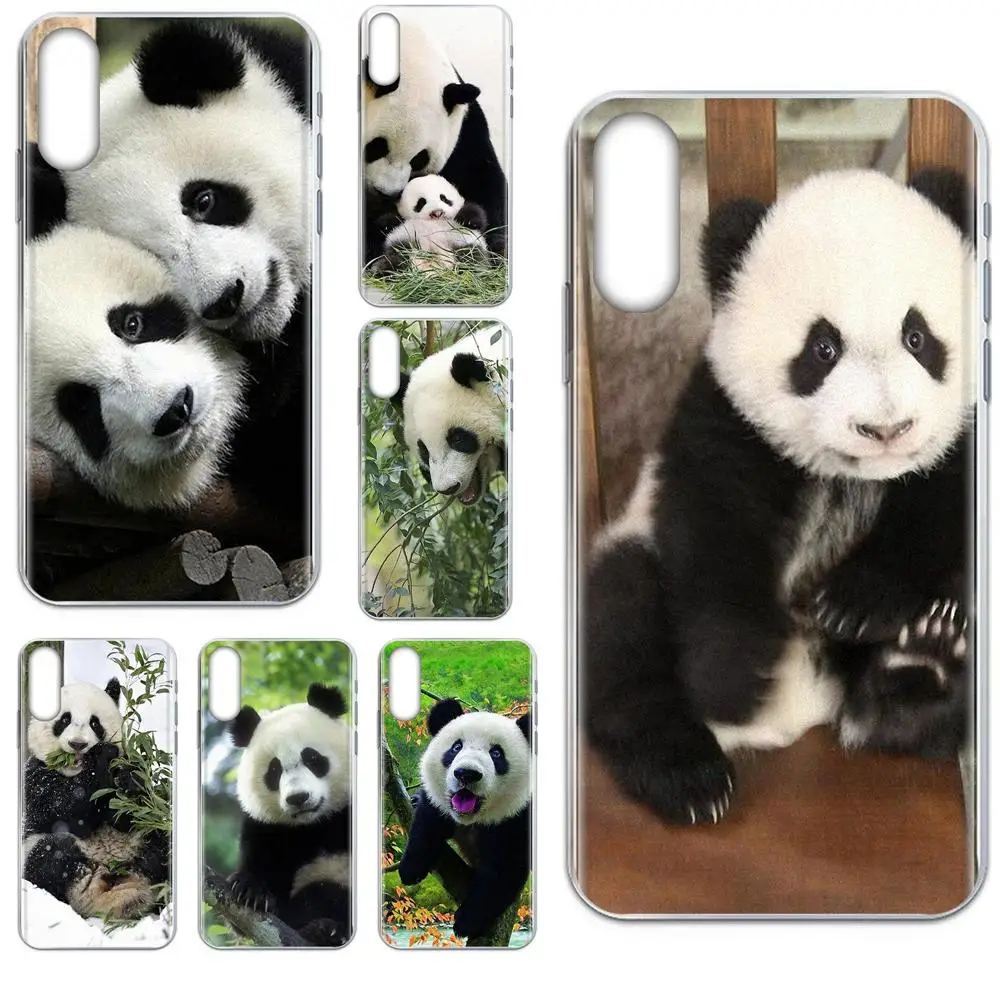 Мягкие чехлы с надписью Keep Calm And Be A Panda для Huawei Honor Mate 7 7A 8 9 10 20 V8 V9 V10 V30 P40 G Lite Play Mini Pro P
