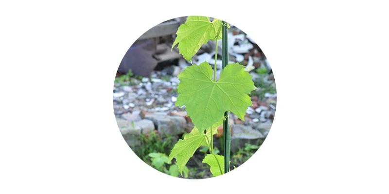 O1CN01LmgJhr1JMuXo13jah_!!1602131015