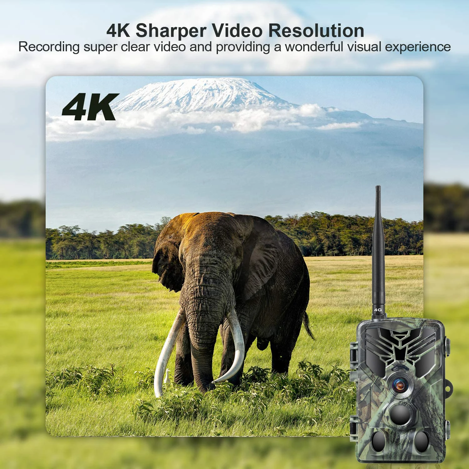 4K Live Video APP Trail Camera Cloud Service Wildlife Hunting Cameras Stream Media 4G Wireless 30MP Night Vision HC810PRO