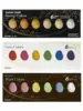 ZIG Kuretake Paints GANSAI TAMBI Starry Colors Solid Paints Metallic Gold Watercolor Paints Pearl Color Star Color Paints Japan ► Photo 1/6