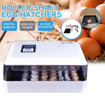 Incubadora de huevos automática de 60 huevos, suministro de Doble potencia, pantalla de colores Incubadora, Couveuse con bandeja de rodillos multifunción de giro