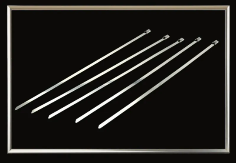 1604484362(1)_meitu_59