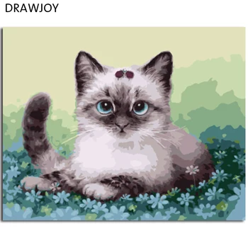 

DRAWJOY Cat Framed Pictures DIY Oil Painting By Numbers Painting&Calligraphy Home Decoration Wall Art 40*50cm