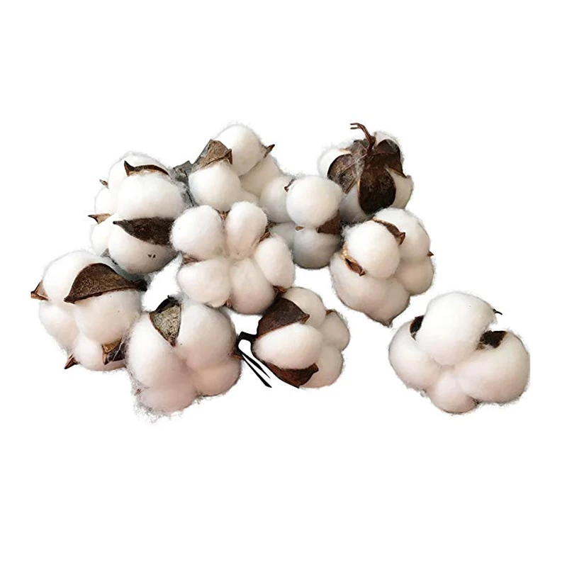 

BEST30 Pack Natural Cotton Bolls (Balls) for Wreaths, Decor, Off Stick Branches Wired Raw Look White Cotton Branch Picks