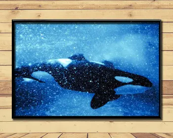

Orca Ferocious Marine Animal (5) Wall Posters Prints Silk Art Painting For Home Wall Bedroom Decor