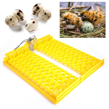 

High quality 132pcs Eggs Automatic Egg Turner Turning Tray for Automatic Egg Incubator Tray Incubation Accessories Supplies