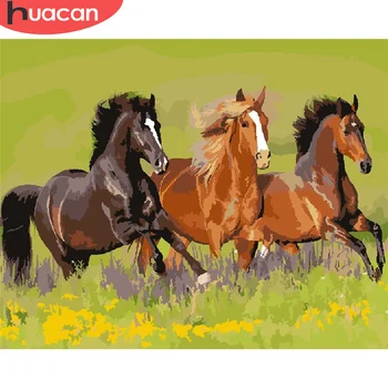 

HUACAN Paint By Number Horse Drawing On Canvas Hand Painted Painting Art Gift DIY Pictures By Numbers Animal Kits Home Decor
