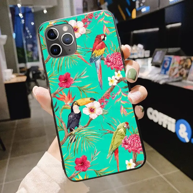 Tropical forest animals Toucan